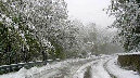Emergenza neve, l’assessore Cosenza a Palazzo Chigi